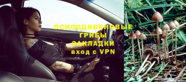 герыч Вяземский