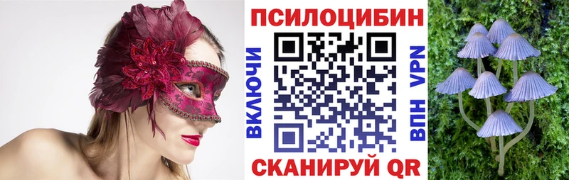Псилоцибиновые грибы мицелий  Петушки 